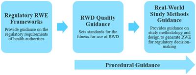 Real-world evidence for regulatory decision-making: updated guidance from around the world